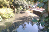 Horrific open drains in city spreading epidemics, citizens tortured